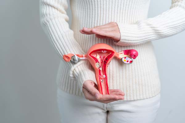 What To Expect During A Gynecological Visit For Fibroids